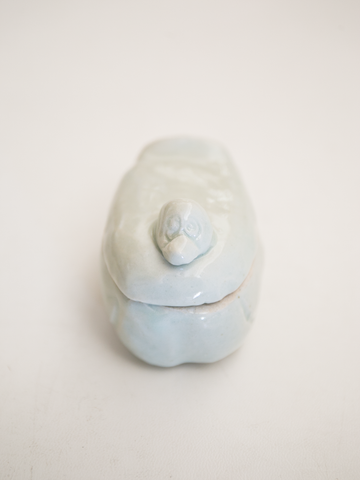 池本惣一 アヒル