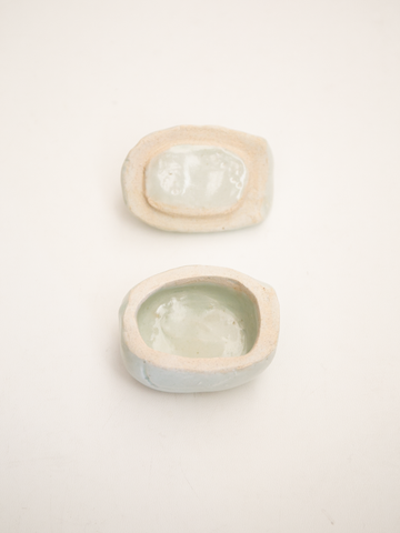 池本惣一 アヒル