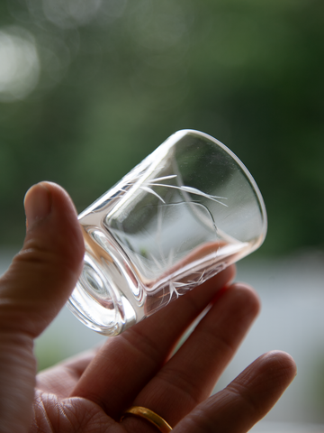 Glass (Japan)