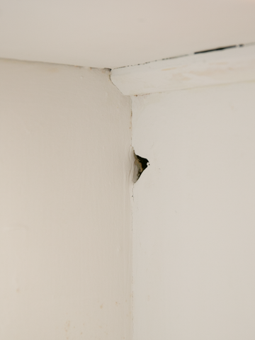 White cabinet / 白キャビネット