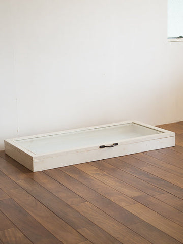 Show Case (England 1950`s)