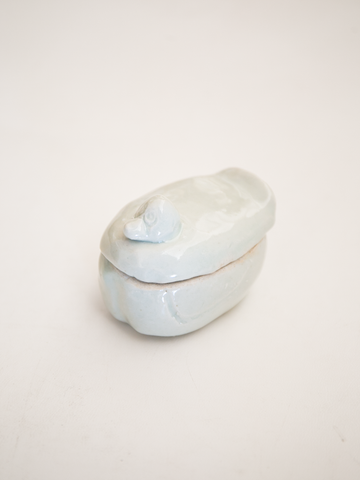 池本惣一 アヒル