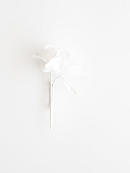 Pois É  ROSE